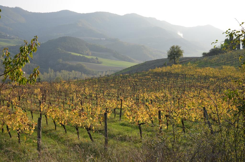 La Cerreta 호텔 Rocca San Casciano 외부 사진